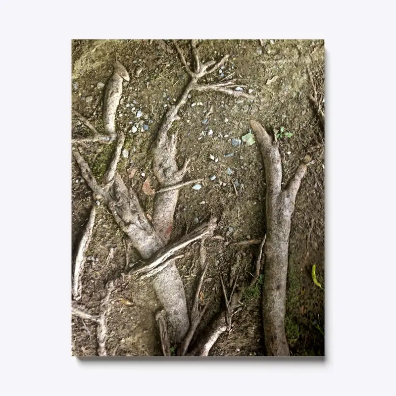 Roots 1 Canvas Artistic Print